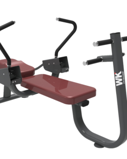 WK-407 Abdominal Machine